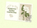 Stamps Romania -  Daphne Blagayana -  Flor de los Carpatos