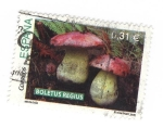 Stamps Spain -  Boletus Regius