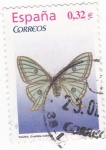 Stamps Spain -  Fauna- mariposa   (8)
