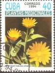 Stamps Cuba -  PLANTAS  MEDICINALES.  CALENDULA  OFFICINALIS.