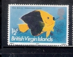 Stamps America - Virgin Islands -  Pez ángel bicolor (Holacanthus tricolor)