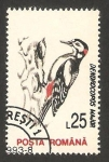 Stamps : Europe : Romania :  4069 - Ave dendrocopos majos