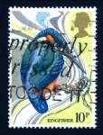 Sellos del Mundo : Europa : Reino_Unido : 1980 Aves. Martín pescador - Ybert:922