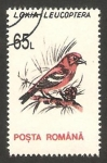 Stamps Romania -  4071 - ave loxia leucoptera