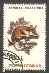 Stamps Romania -  4101 - Eliomys quercinus