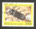 Stamps : Africa : Guinea :  Tenebrio mollitor