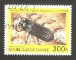 Sellos de Africa - Guinea -  Tenebrio mollitor