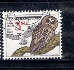Stamps : Europe : Czechoslovakia :  Cárabo: Strix aluco