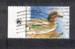 Stamps : Asia : Israel :  Teal: Anas crecca, cerceta aliverde