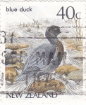 Sellos de Oceania - Nueva Zelanda -  Ave- blue duck