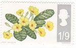 Stamps United Kingdom -  Mary Grierson -flora