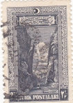 Stamps Turkey -  Desfiladero
