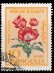 Stamps Mongolia -  TULIPA EDULIS