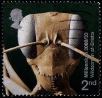 Stamps United Kingdom -  WILDSCREEN AT BRISTOL
