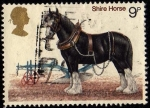 Sellos de Europa - Reino Unido -  SHIRE HORSE