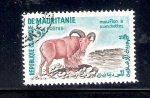Stamps : Africa : Mauritania :  Carnero de berbería