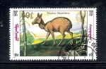 Stamps Mongolia -  Ciervo almizclero siberiano: Moschus moschiferus