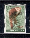 Stamps : Asia : India :  Panda del Himalaya