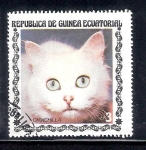 Sellos de Africa - Guinea Ecuatorial -  Gato chinchilla