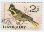 Sellos de America - Uruguay -  Cardenal Amarillo