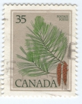 Stamps : America : Canada :  PIÑAS