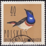 Stamps Poland -  Ave pecho azul