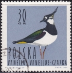 Stamps Poland -  Ave fria