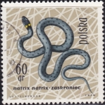 Stamps Poland -  Culebra