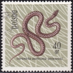 Stamps Poland -  Culebra lisa