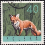 Stamps Poland -  Zorro