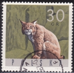 Stamps Poland -  Lince
