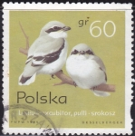 Stamps Poland -  Pajaro cantor