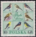 Sellos de Europa - Polonia -  Aves