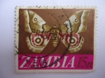 Stamps : Africa : Zambia :  Mariposa Nudaurelia-Sambesina