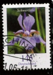 Stamps Germany -  LIRIO MORADO