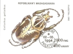 Stamps Madagascar -  GOLIATHUS  GOLIATHUS