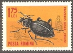 Stamps Romania -  INSECTOS.  ESCARABAJO  DE  CUERNOS