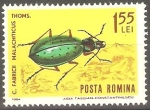 Stamps Romania -  INSECTOS.  ESCARABAJO.