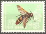 Stamps Romania -  INSECTOS.  AVISPA.  SCOLIA  MACULATA  MACULATA.