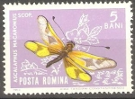 Stamps Romania -  MARIPOSAS.   ASCALAPHUS  MACARONIUS  SCOP.
