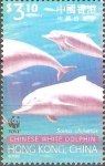 Stamps Asia - Hong Kong -  DELFIN  BLANCO  CHINO