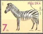 Stamps Poland -  EQUSS  ZEBRA