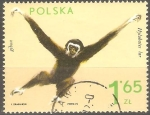 Stamps Poland -  HILOBATES  LAR