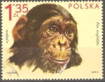 Sellos del Mundo : Europa : Polonia : PAN  TROGLODYTES
