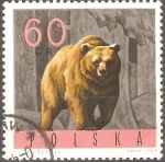 Stamps Poland -  OSO  PARDO