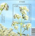 Stamps : Asia : Cyprus :  ORIGANUM  DUBIUM