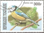 Stamps Togo -  AVES.  PARUS  CAERULEUS.