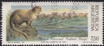 Stamps Argentina -  Lobito de rio