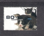 Stamps : Europe : Netherlands :  Gatos