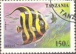 Sellos del Mundo : Africa : Tanzania : VIDA  MARINA.  PEZ  ANGEL.